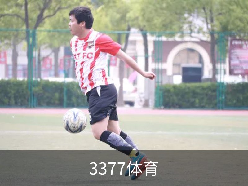 了解3377体育
